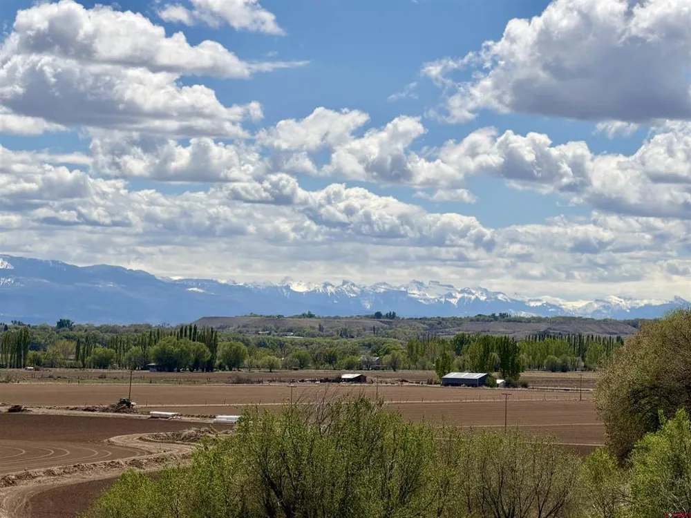 3998 5500 ROAD Olathe, CO 81425