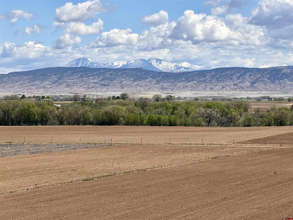 3998 5500 ROAD Olathe, CO 81425