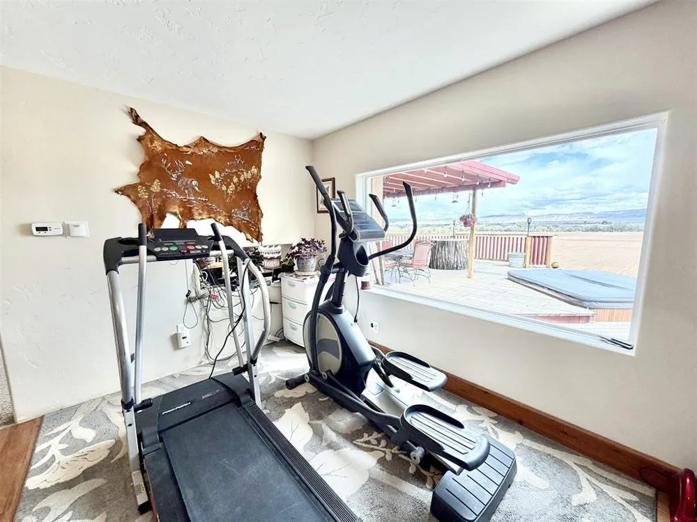 3998 5500 ROAD Olathe, CO 81425