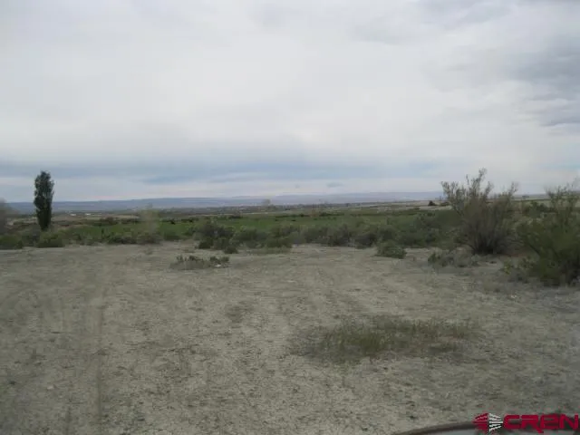 3525 6200 ROAD Olathe, CO 81425