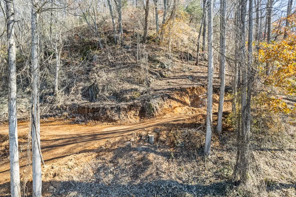 Lot 4 White Birch Drive Sylva, NC 28779