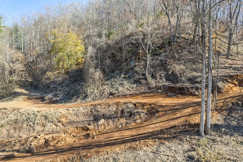 Lot 4 White Birch Drive Sylva, NC 28779