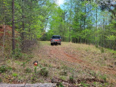 Allen Road