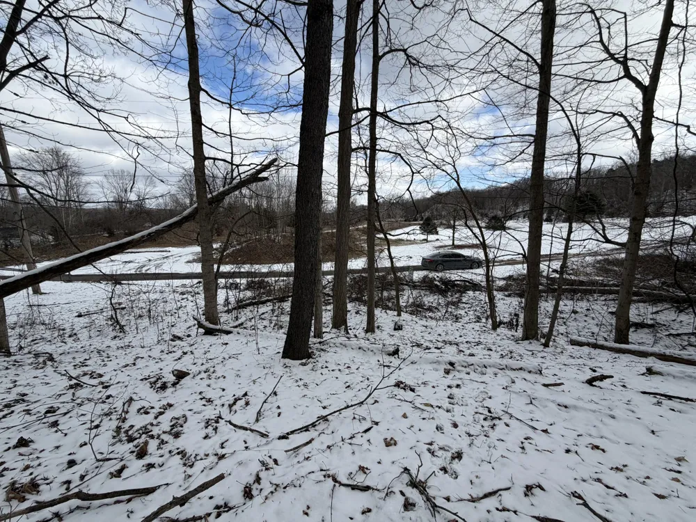 65 Hosford Drive Ionia, MI 48846