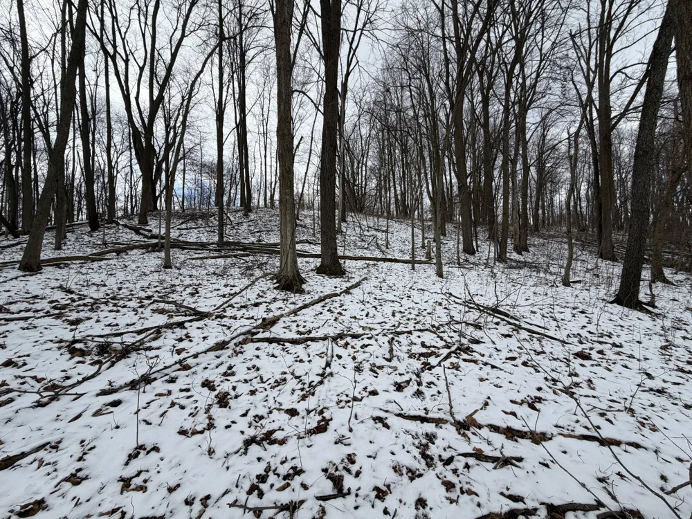 65 Hosford Drive Ionia, MI 48846
