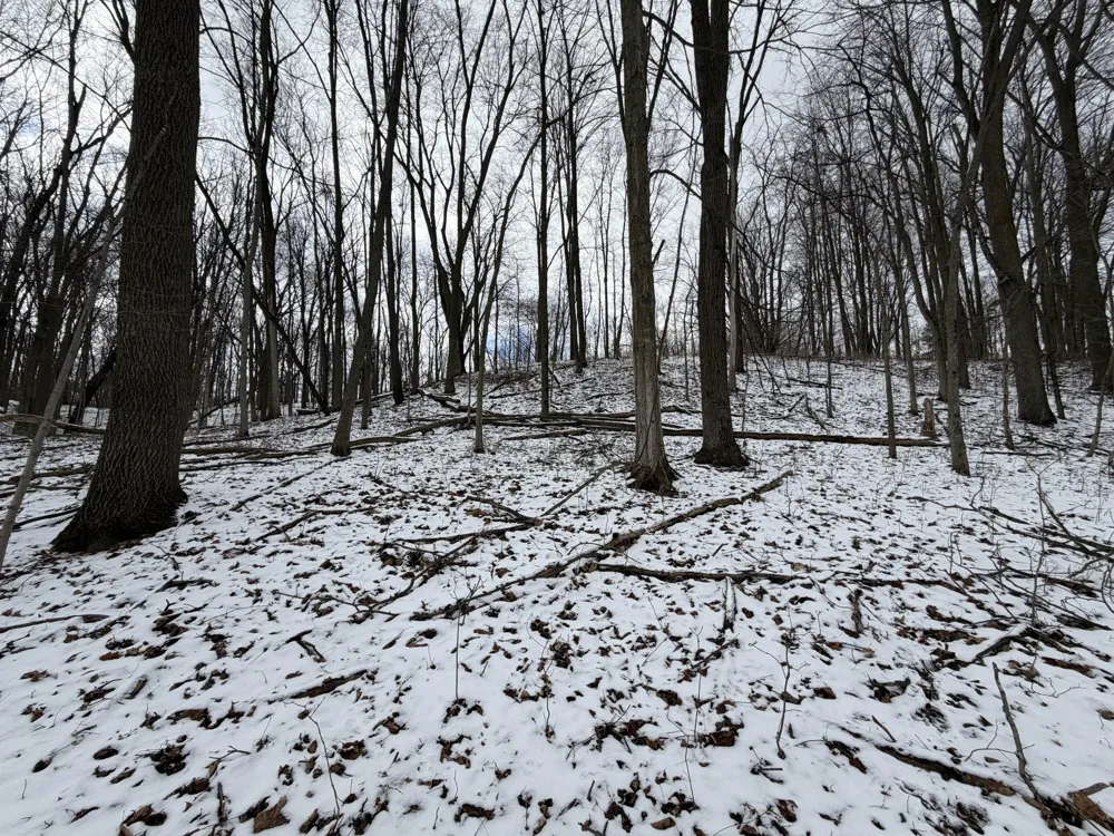 65 Hosford Drive Ionia, MI 48846