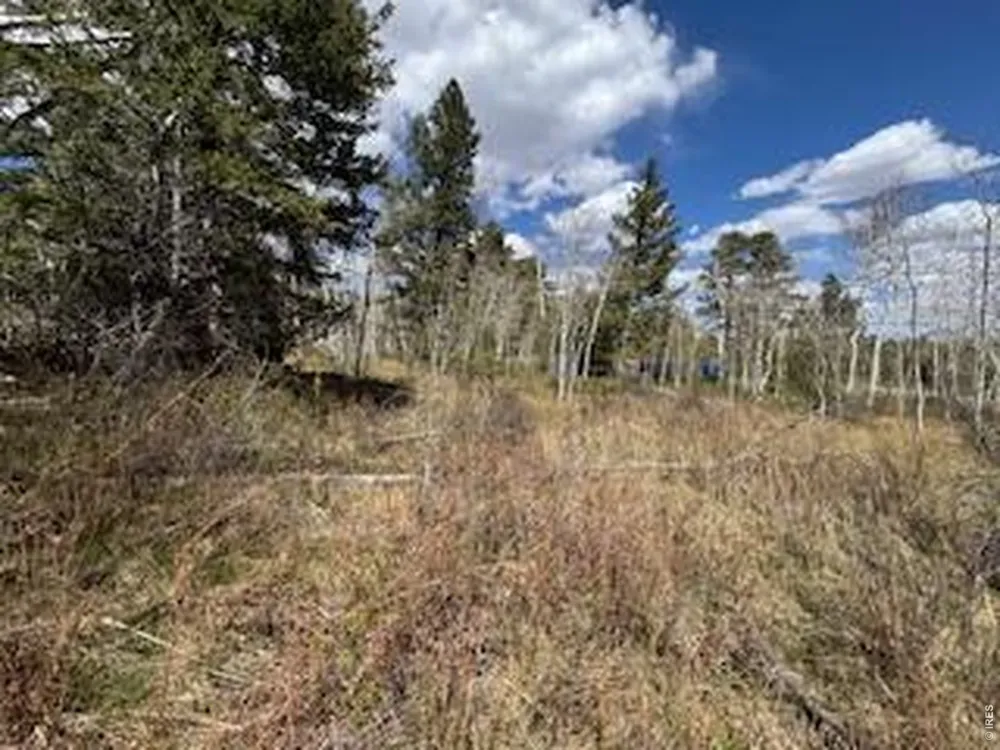400 Fox Acres Drive W Red Feather Lakes, CO 80545