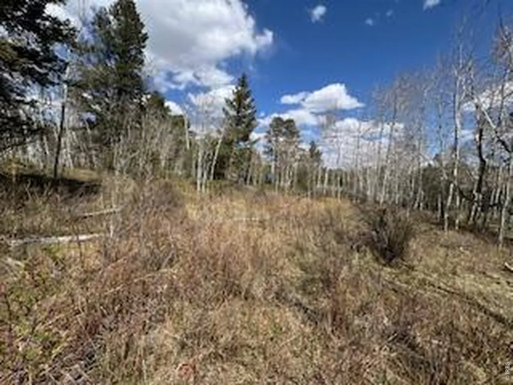 400 Fox Acres Drive W Red Feather Lakes, CO 80545