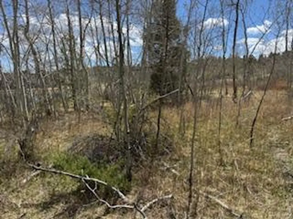 400 Fox Acres Drive W Red Feather Lakes, CO 80545