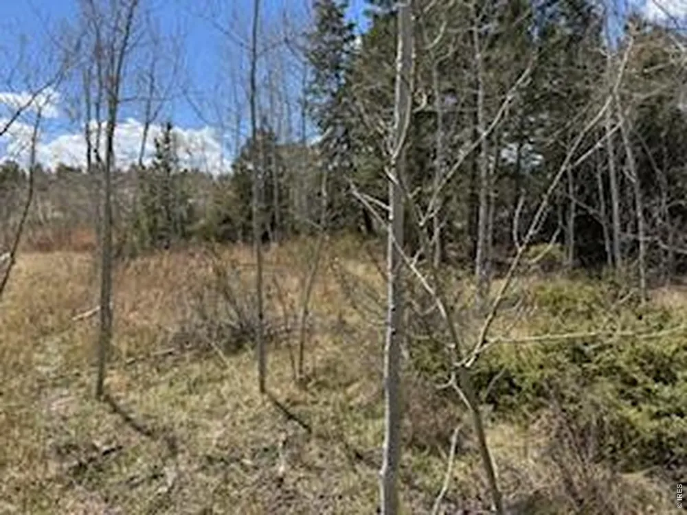 400 Fox Acres Drive W Red Feather Lakes, CO 80545