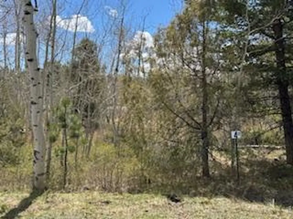 400 Fox Acres Drive W Red Feather Lakes, CO 80545