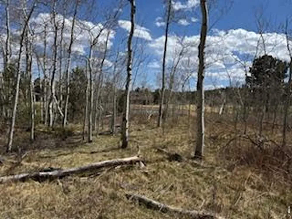 400 Fox Acres Drive W Red Feather Lakes, CO 80545