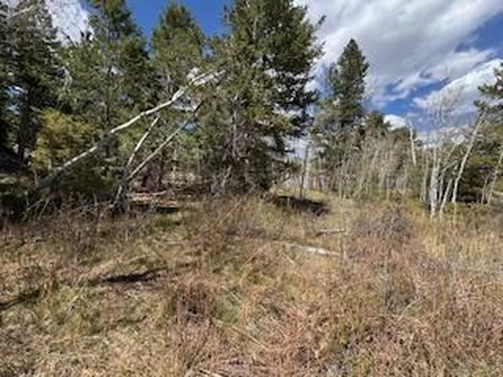 400 Fox Acres Drive W Red Feather Lakes, CO 80545