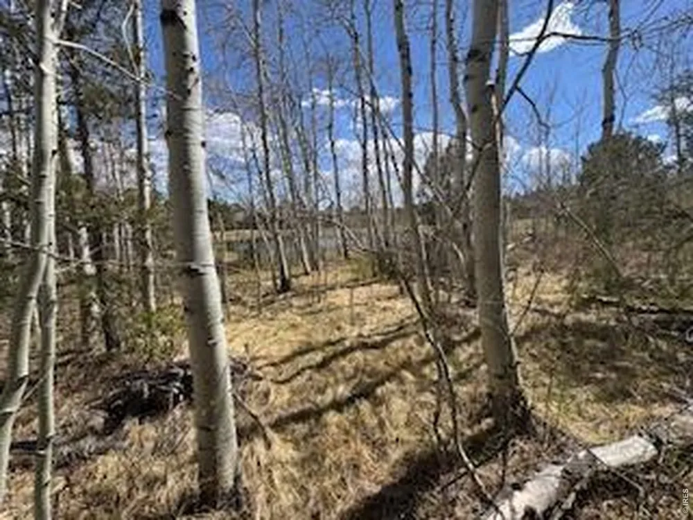 400 Fox Acres Drive W Red Feather Lakes, CO 80545
