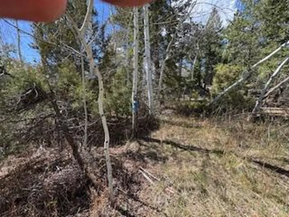 400 Fox Acres Drive W Red Feather Lakes, CO 80545