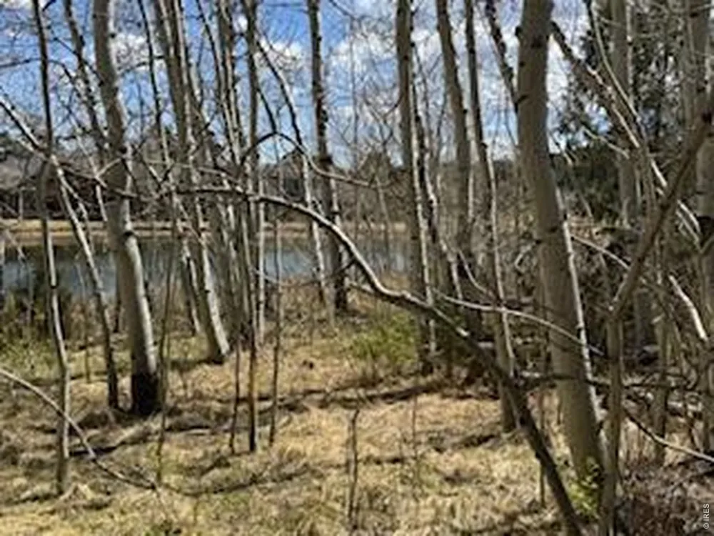 400 Fox Acres Drive W Red Feather Lakes, CO 80545