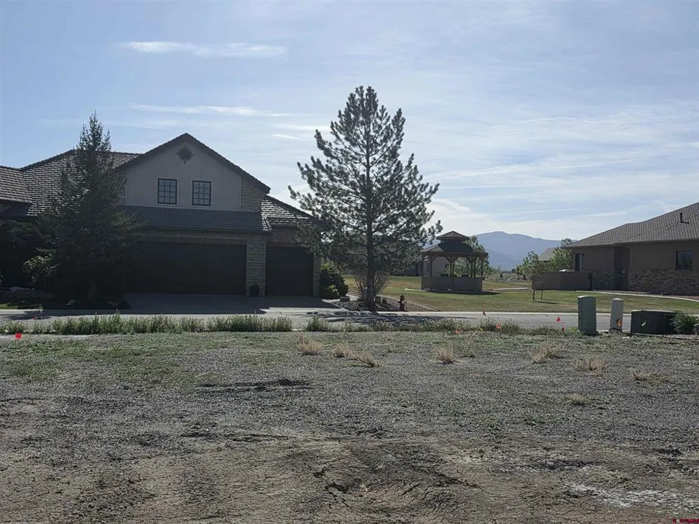 2603 Bear Lake Drive Montrose, CO 81401