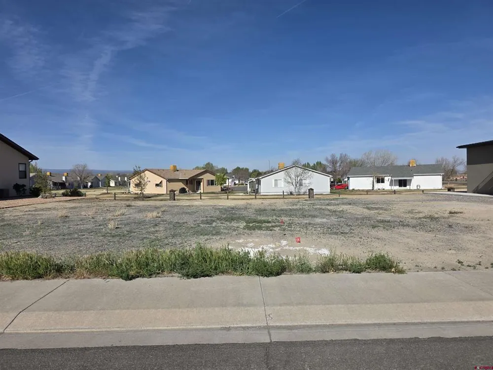 2603 Bear Lake Drive Montrose, CO 81401