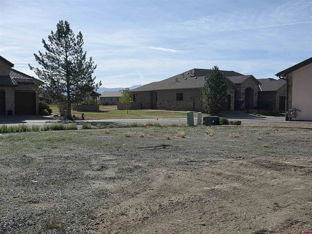2603 Bear Lake Drive Montrose, CO 81401