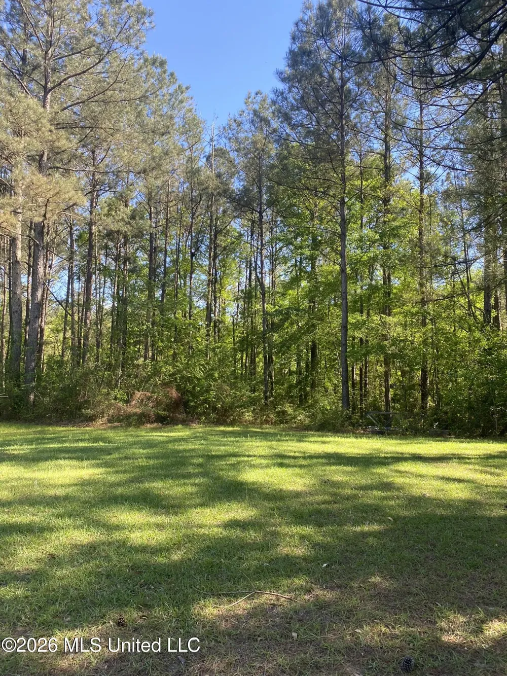 2342 Ferguson Mill Road New Hebron, MS 39140