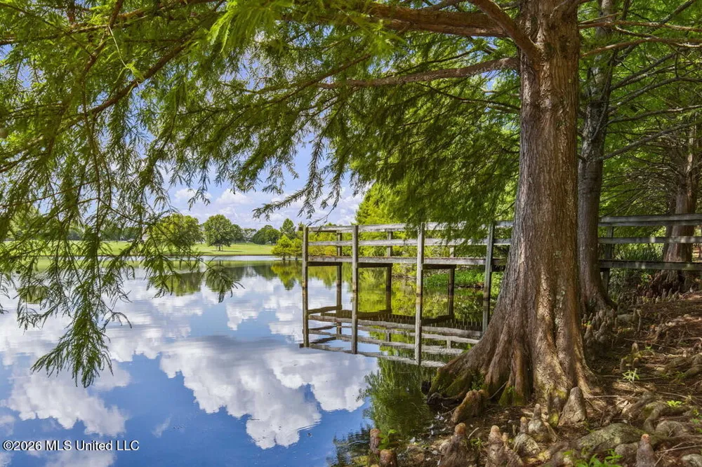 1454 Livingston Vernon Road Flora, MS 39071