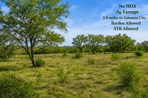 Live Oak Ranch Ranch