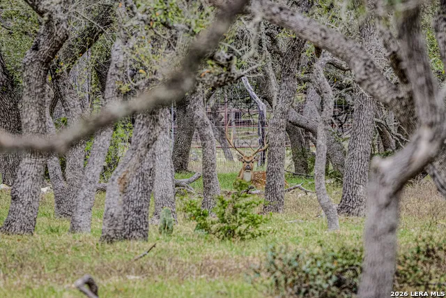 TBD Sattler Rd Spring Branch, TX 78070