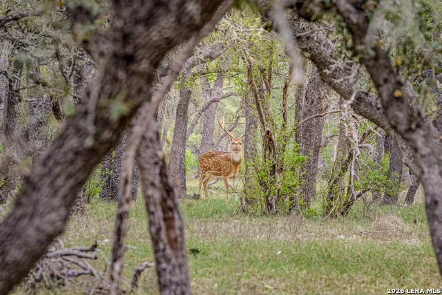 TBD Sattler Rd Spring Branch, TX 78070
