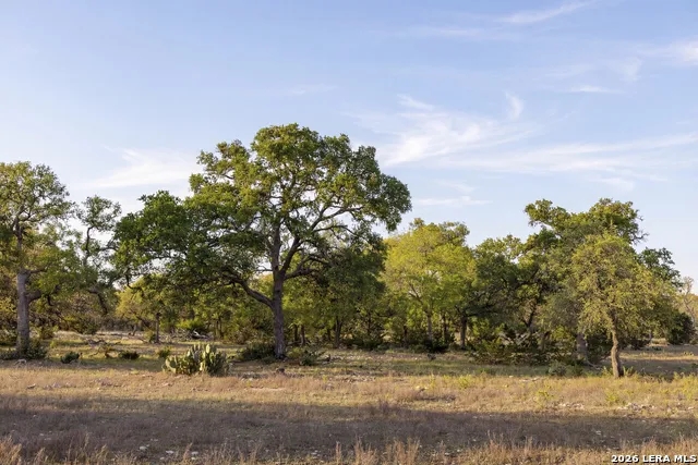 TBD Sattler Rd Spring Branch, TX 78070