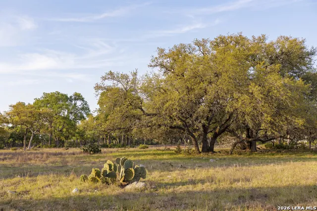 TBD Sattler Rd Spring Branch, TX 78070