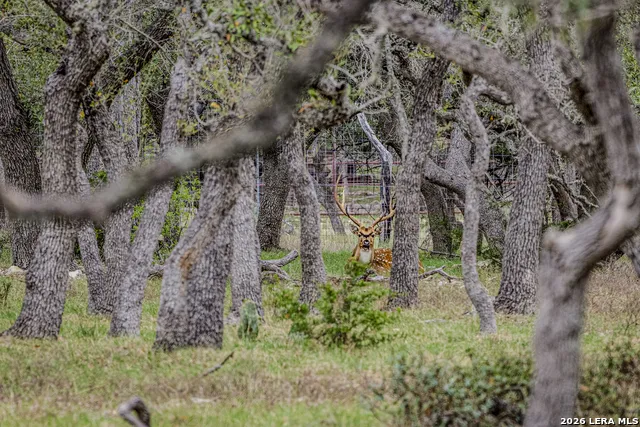 TBD Sattler Rd Spring Branch, TX 78070