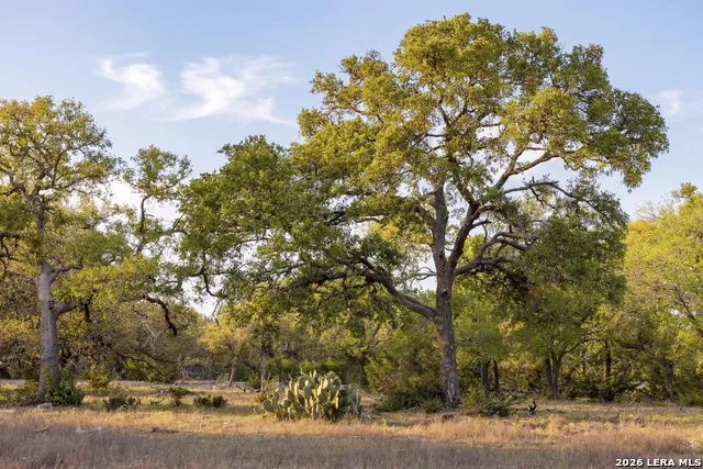 TBD Sattler Rd Spring Branch, TX 78070