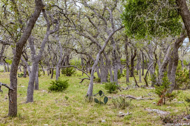 TBD Sattler Rd Spring Branch, TX 78070