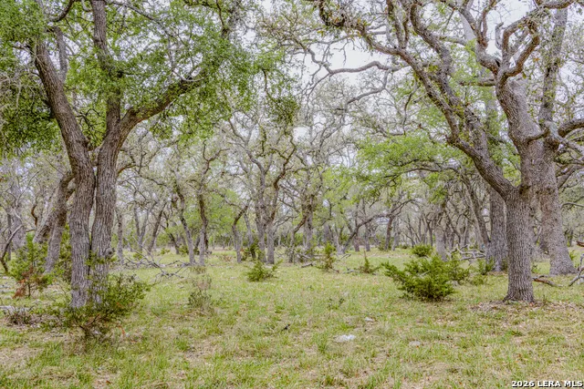 TBD Sattler Rd Spring Branch, TX 78070