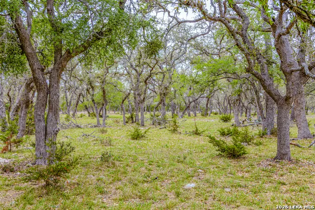 TBD Sattler Rd Spring Branch, TX 78070
