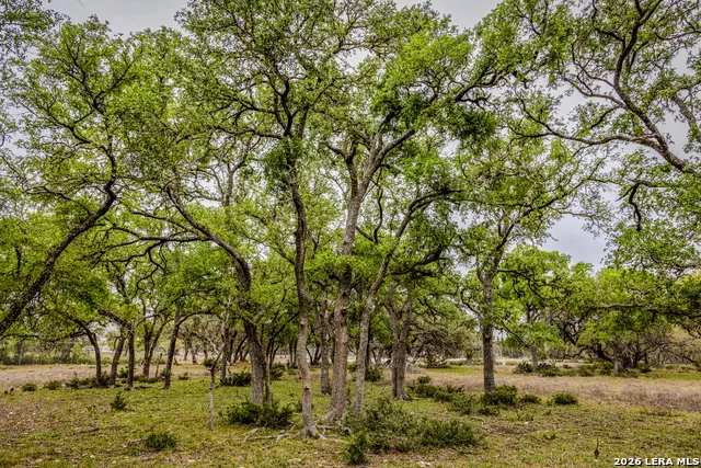 TBD Sattler Rd Spring Branch, TX 78070