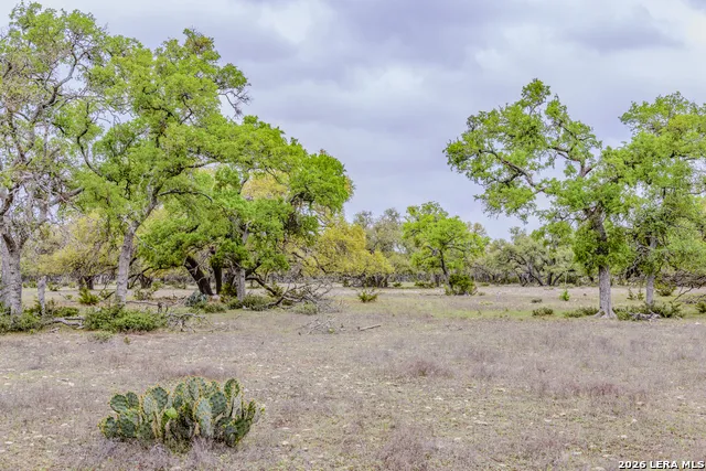 TBD Sattler Rd Spring Branch, TX 78070