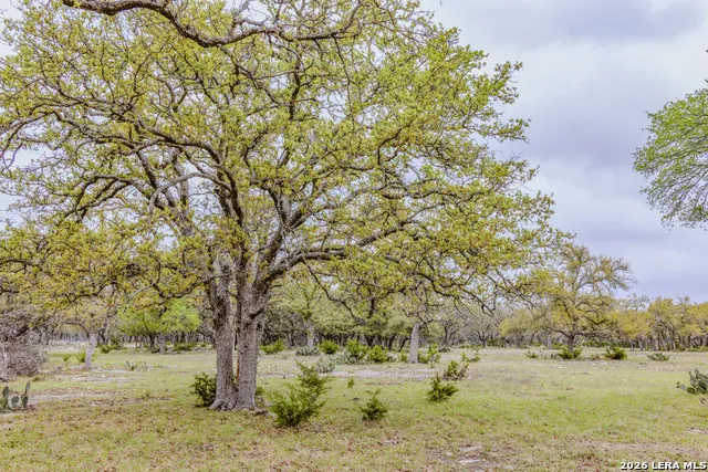 TBD Sattler Rd Spring Branch, TX 78070
