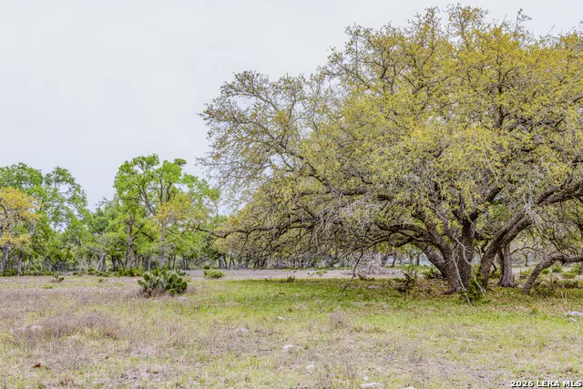 TBD Sattler Rd Spring Branch, TX 78070