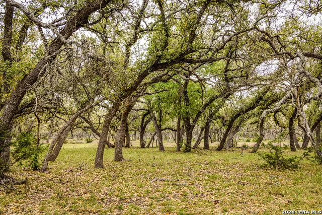 TBD Sattler Rd Spring Branch, TX 78070