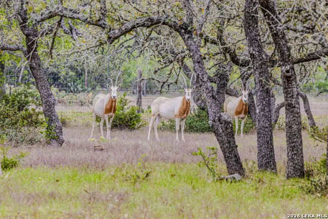 TBD Sattler Rd Spring Branch, TX 78070