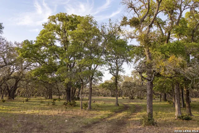 TBD Sattler Rd Spring Branch, TX 78070