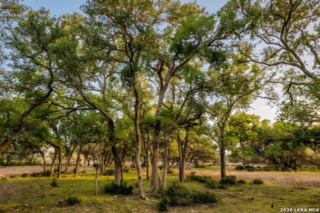TBD Sattler Rd Spring Branch, TX 78070