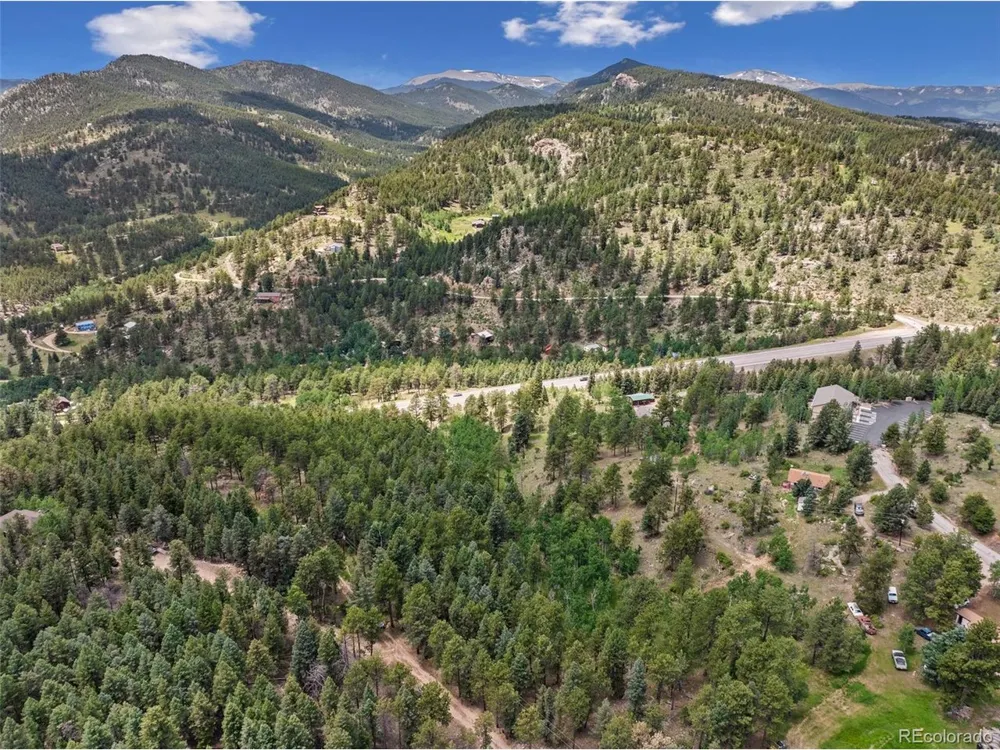 135 Linda Trail Bailey, CO 80421