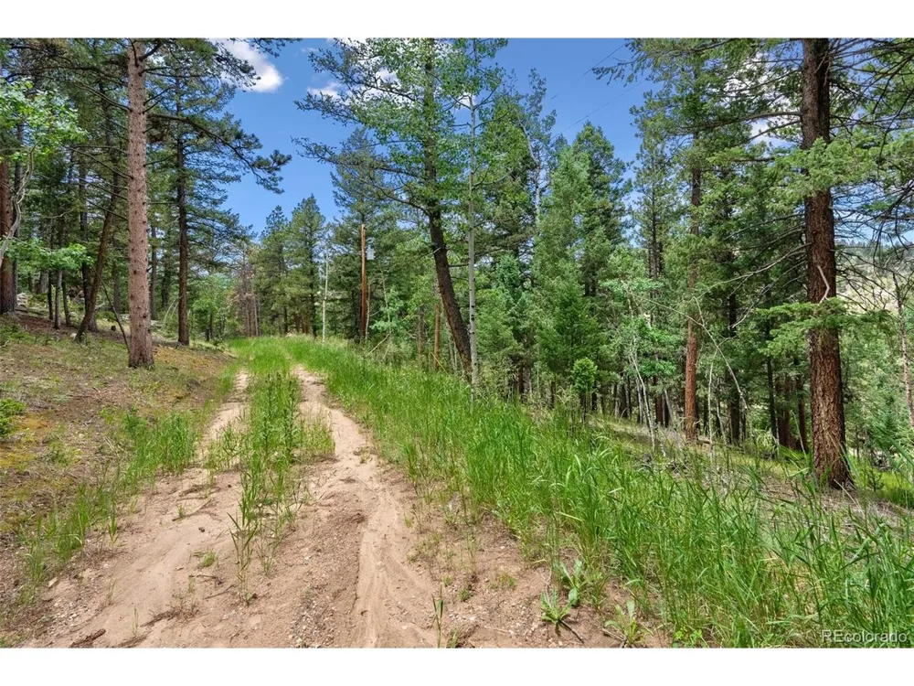 135 Linda Trail Bailey, CO 80421