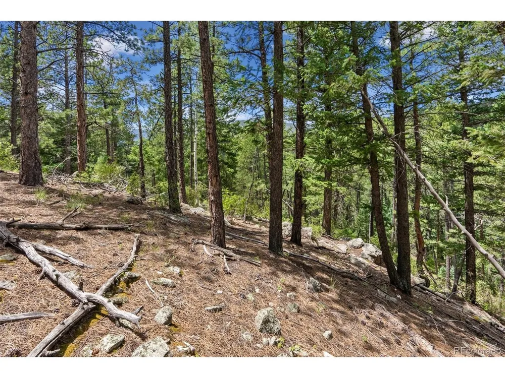 135 Linda Trail Bailey, CO 80421
