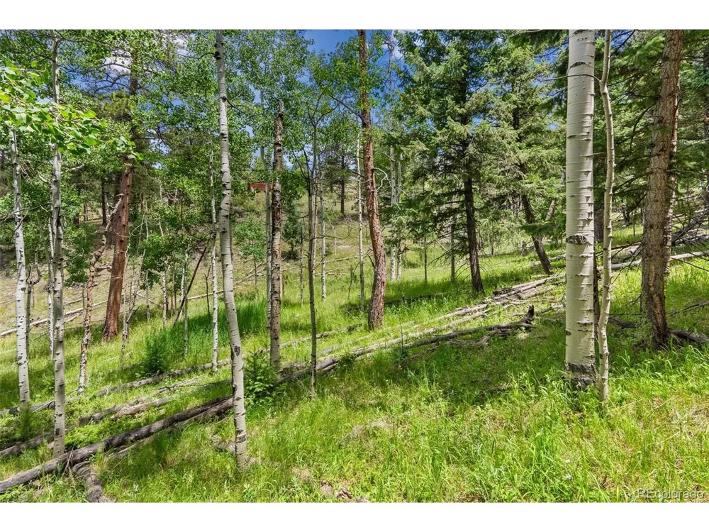 135 Linda Trail Bailey, CO 80421
