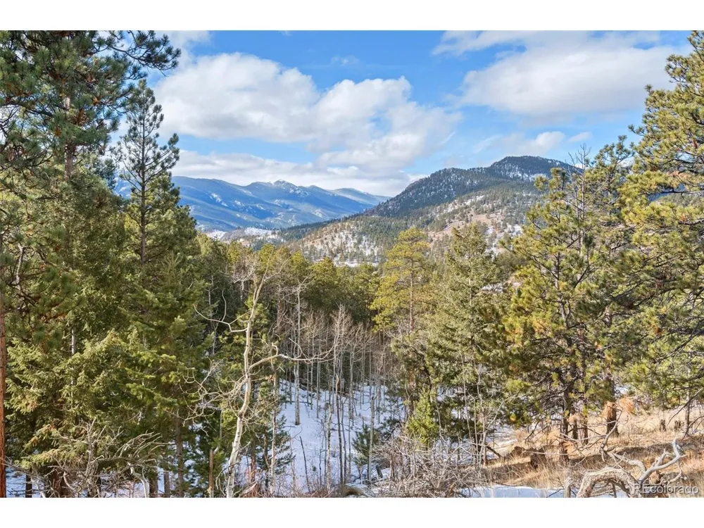 135 Linda Trail Bailey, CO 80421