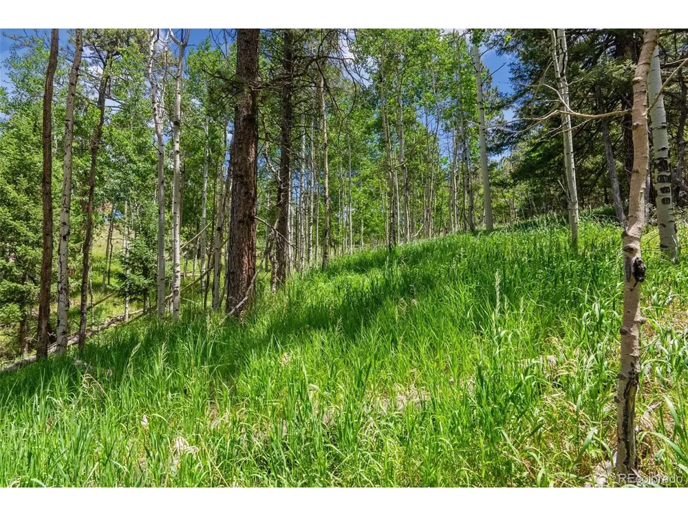 135 Linda Trail Bailey, CO 80421