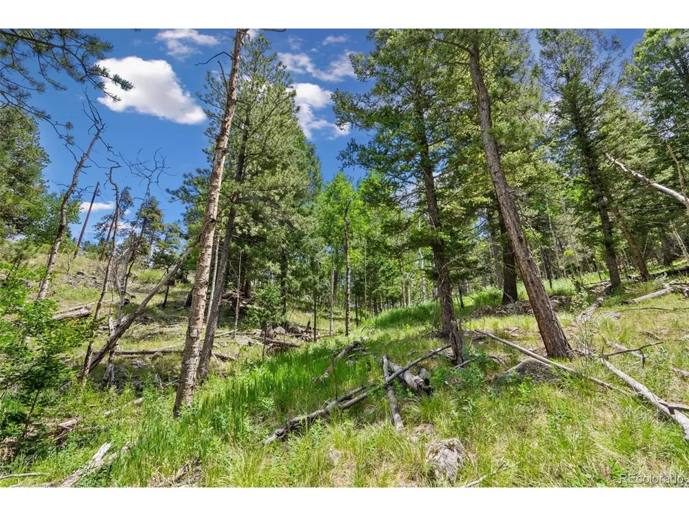 135 Linda Trail Bailey, CO 80421